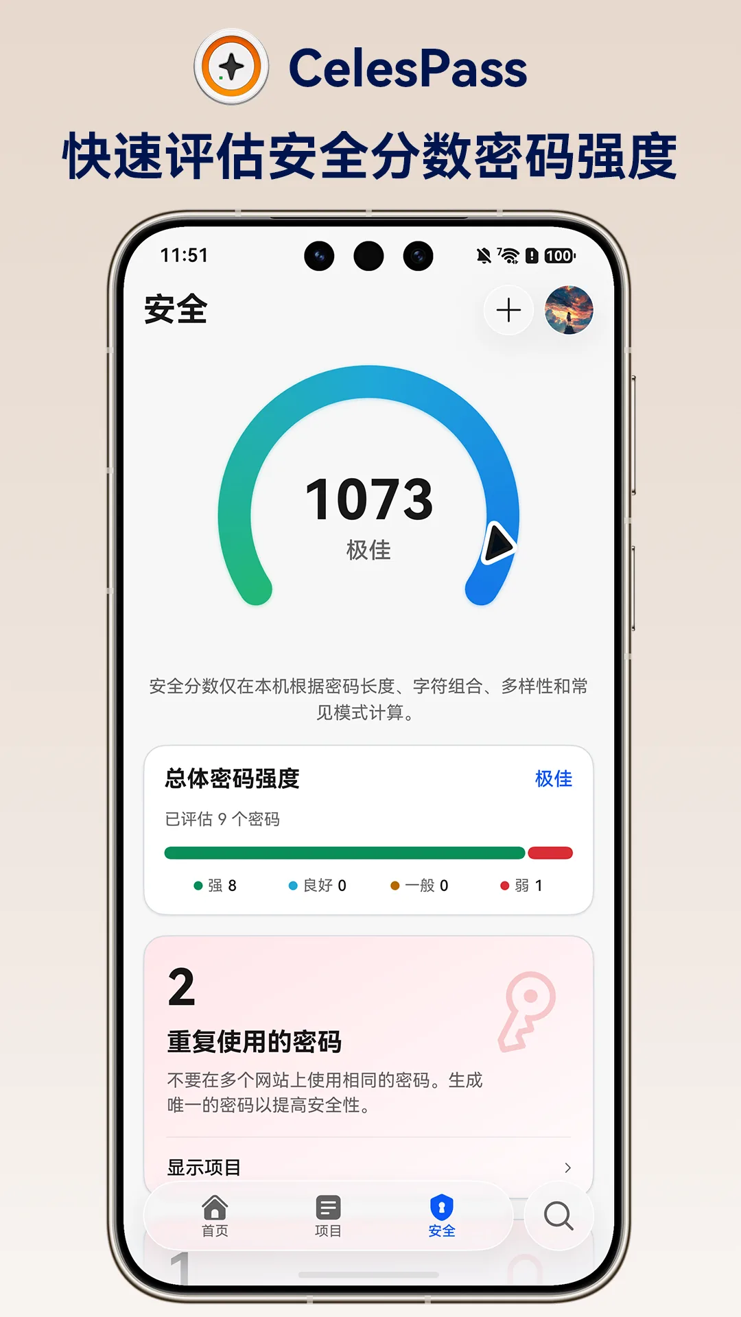 快速评估安全分数和密码强度